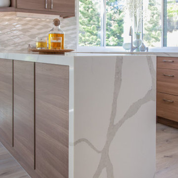 San Diego Modern Kitchen Remodel