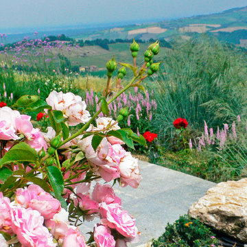 La zona della piscina in estate