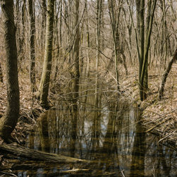 Fall Creek - Artwork