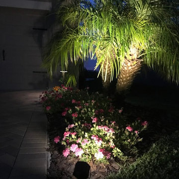 Landscape Lighting Winter Garden
