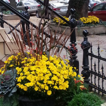 Lincoln Park Residence