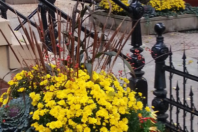 Inspiration for a mid-sized traditional shade front yard stone formal garden in Chicago for fall.