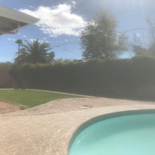 Ideas needed for backyard