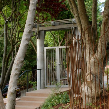 Berkley Landscape and Water Feature