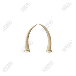 BONE DECOR BY GAD - Products