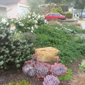 various photos