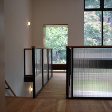 Glass and black metal railings