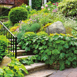 Landscape Rocks - Landscaping Stones And Pavers