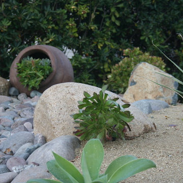 Coyle Project