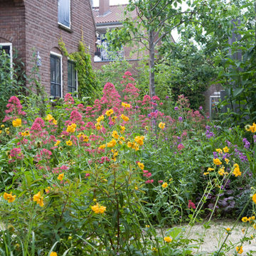 Garden behind a former milk shop