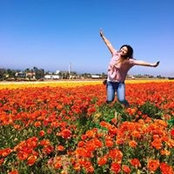 Diane Ho's photo