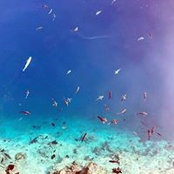 Michelle Li's photo