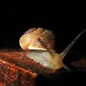 Maria Marta Rivero's photo