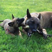 Tamara Dorofeevas billede