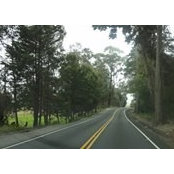 Todd Franke's photo