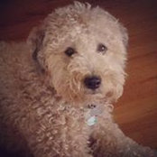 Annmarie Connell's photo