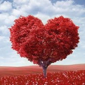 Karen Dauray's photo