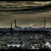Foto von Manuela Schepers-Reul