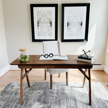 Patrick Street - Luxury New Build, Vienna VA