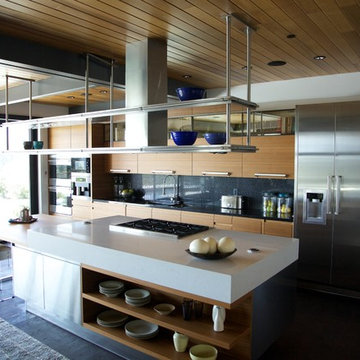 Ray Kappe LEED Pre-fab