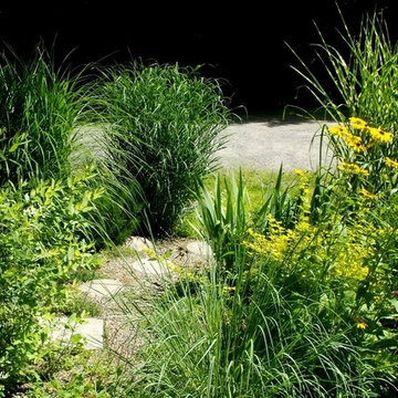 Artist's studio - Eclectic garden