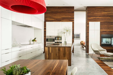 Inspiration for a contemporary kitchen remodel in Orlando