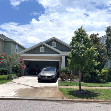 HOA Approved Tree Installation