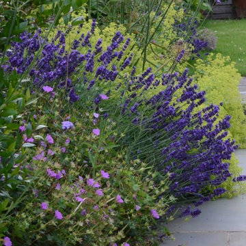 Large town garden