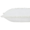 Alivia White/Ivory Cotton Pillow
