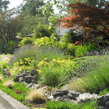A welcoming front yard