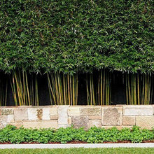 Patios