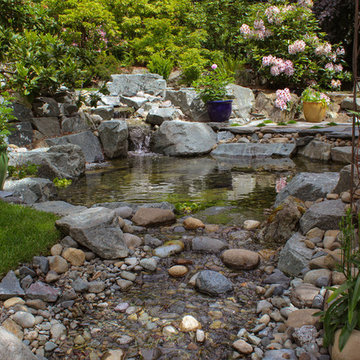 Side-yard Stream and Pond