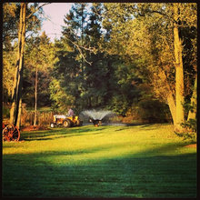 The Farm