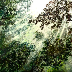 Forest Rays - Paintings