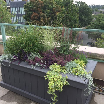 Cambie deck