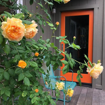 Sonoma County Garden