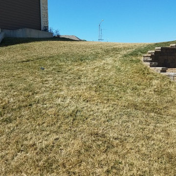 Backyard Steps