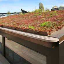 live roof