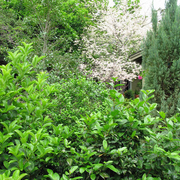Miscellaneous Gardens and Pretty Things