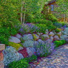 Cuchara Landscaping
