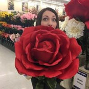 Jessica Landrum's photo