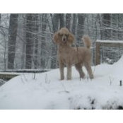 Foto de Judy Motter Winter
