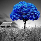 Foto de Kinía Creation