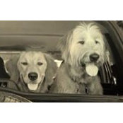 Bianca Sutich's photo