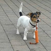 Foto von Elke Ruppert