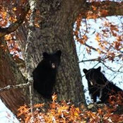 Foto von Dawn Bradley