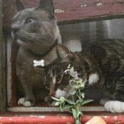 Sarah Grange's photo