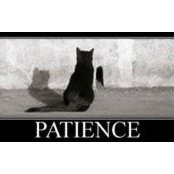 Hande Canoglu's photo