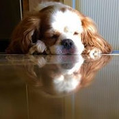 Jennifer Meyer's photo