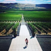 Allison Blythe's photo